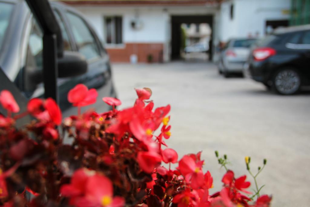 Hotel Santa Marta Pozzuoli Eksteriør billede